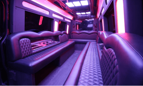Orange 14 Passenger Sprinter Bus Interior